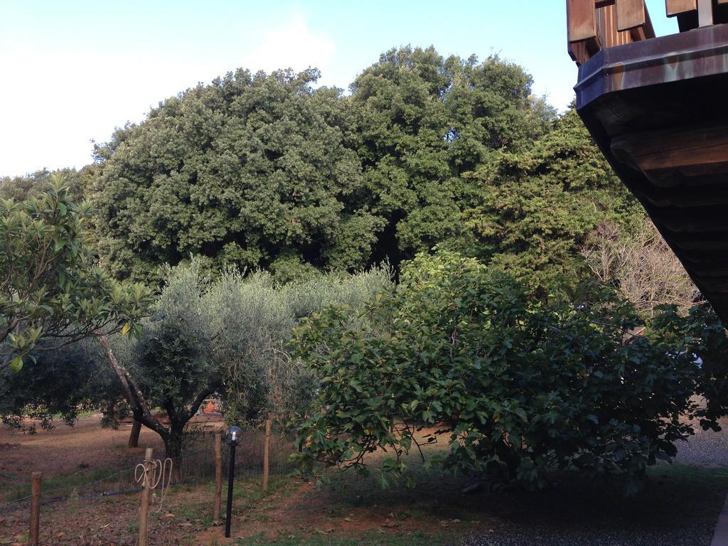 Bed and Breakfast Agriturismo "La Rosa Canina" Lerici Exterior foto