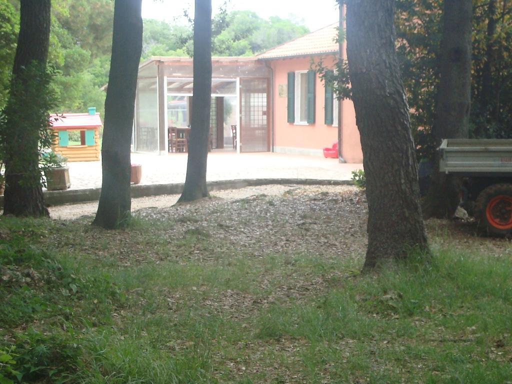 Bed and Breakfast Agriturismo "La Rosa Canina" Lerici Exterior foto